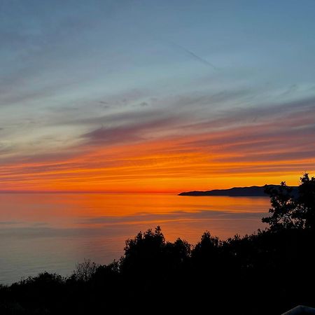 Kuca Radovic Otel Budva Dış mekan fotoğraf