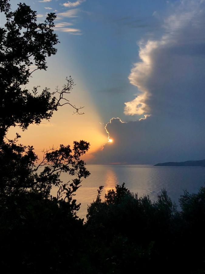 Kuca Radovic Otel Budva Dış mekan fotoğraf